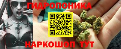apvp Краснокаменск